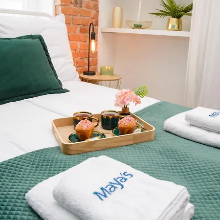 Maya's Flats 36 - Chlebnicka St In Old Town * Gdansk