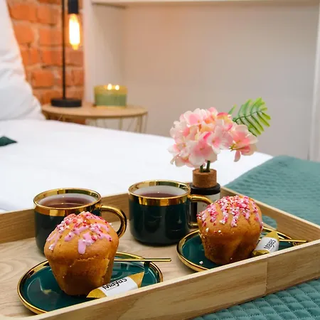 Maya's Flats 36 - Chlebnicka St In Old Town * Danzig