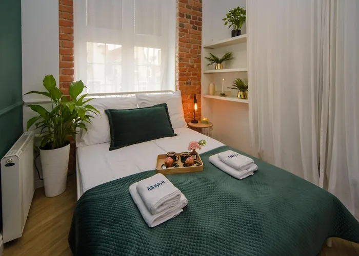 Maya's Flats & 36 - Chlebnicka Old Town Gd